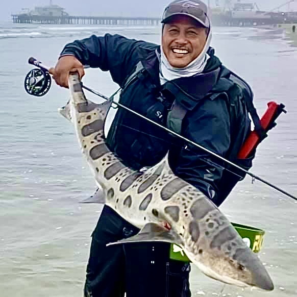 An LA Leopard Shark! An LA Leopard Shark