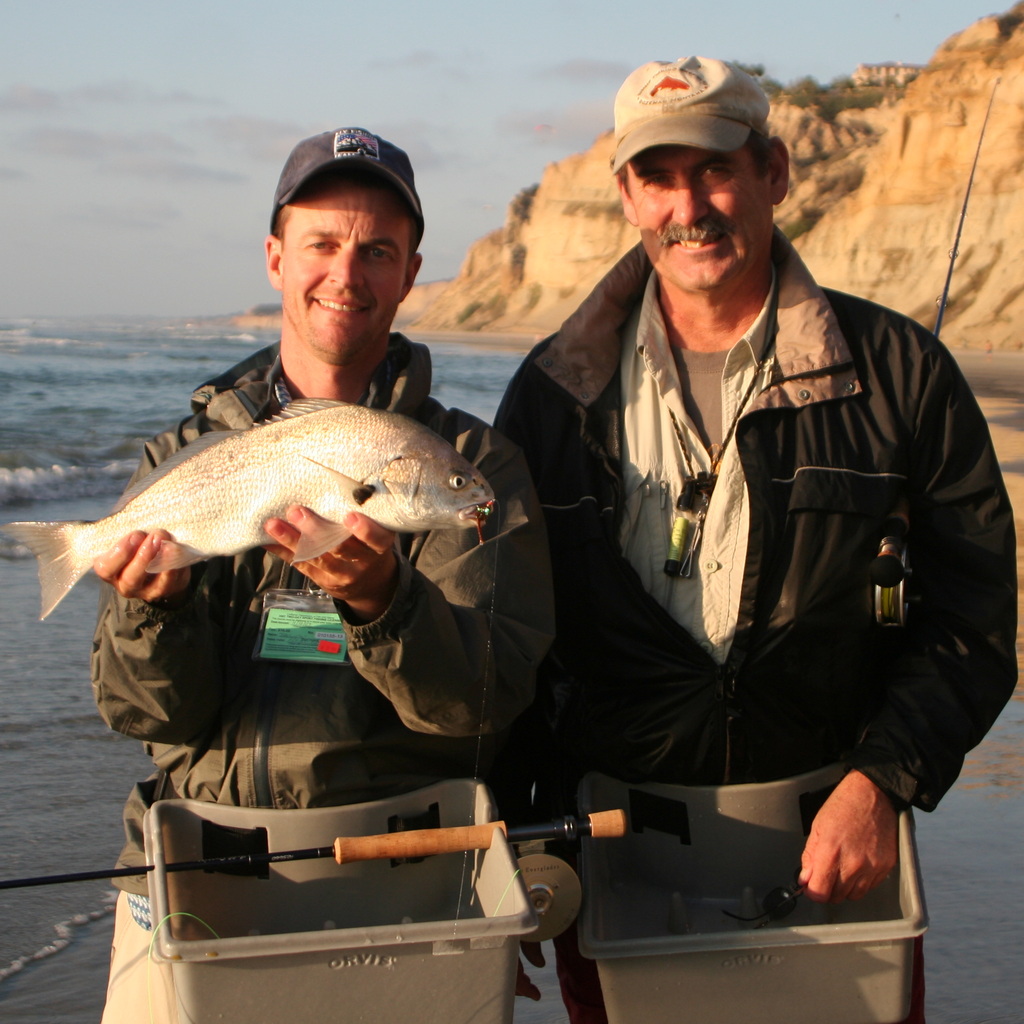 A nice spotfin croaker